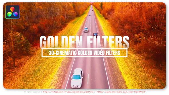30 Plus - Cinematic Golden Video Filters 1920x1080 DRv.jpg