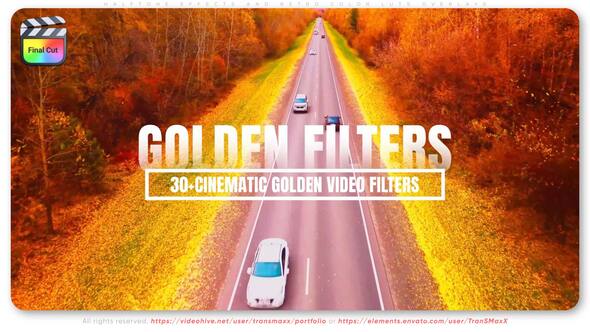 30 Plus - Cinematic Golden Video Filters 1920x1080 FCPX.jpg