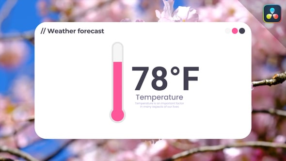 Preview_Image_Dr (1).jpg