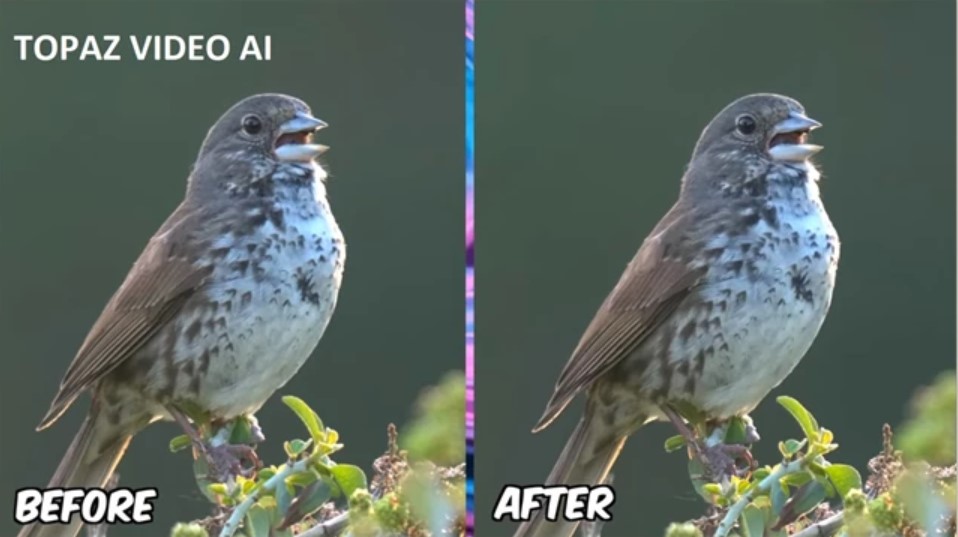 Screenshot 2024-02-19 183551.jpg