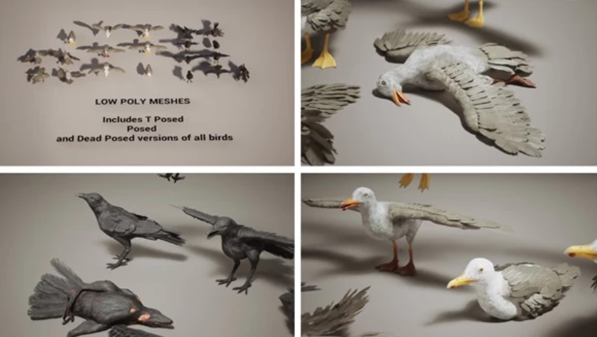 Screenshot 2024-02-27 180909.jpg