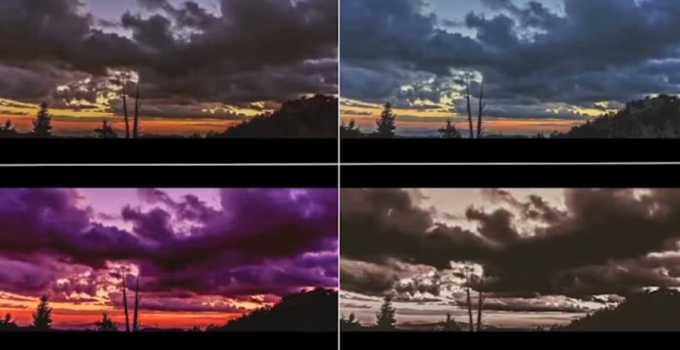 Screenshot 2024-08-13 114732.jpg