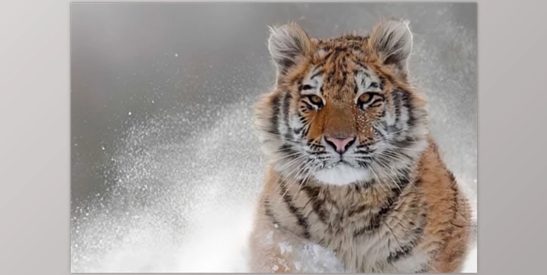 Screenshot 2024-11-15 111120.jpg