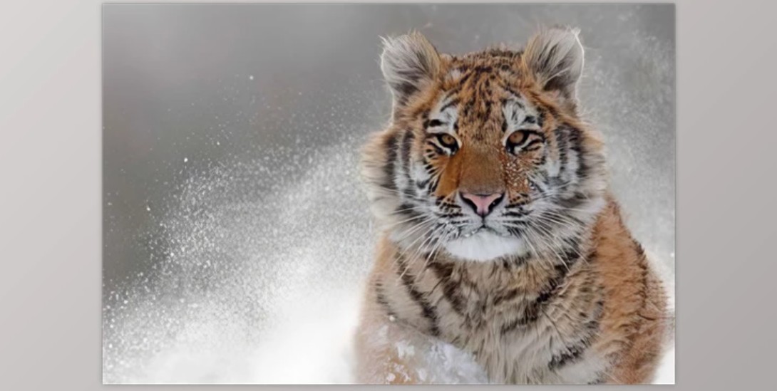 Screenshot 2024-12-20 102900.jpg