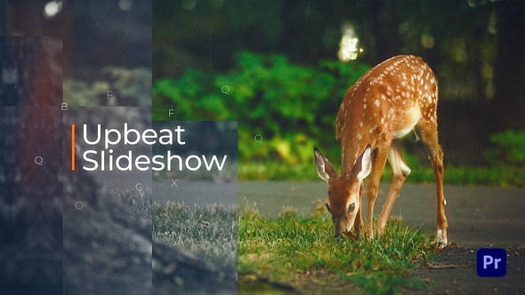 Upbeat Slideshow Preview Image Pr 2K.jpg