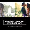 Cherish Every Moment: Free Romantic Wedding And Standard LUTs