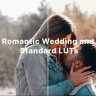 Elevate Your Visual Storytelling: Download 20 Free Romantic Wedding and Standard LUTs