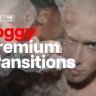 Free Videohive 52243907 Premium Transitions Foggy