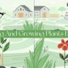 Free Videohive 52661621 Watering and Growing Plants Explainer for After Effects | GFXInspire