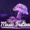Free Videohive 19486026 Electronic Music Festival