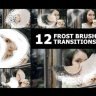 Free Videohive 55498403 Frost Brush Painting Transitions | After Effects