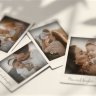 Free Videohive 57478482 Light And Shadow Of Memories Slideshow , GFXInspire