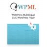 [Premium] WordPress Multilingual CMS WordPress Plugin v4.7.6