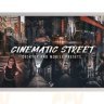 [Premium] FilterGrade - 10 Cinematic Street Lightroom Presets