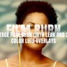 Free Videohive 56133937 Vintage Film Burn Light leak and 30+ Luts Overlays | FCPX