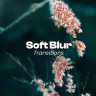 Free Soft Blur Transitions – Smooth Cinematic Transition Effects After Effects Template